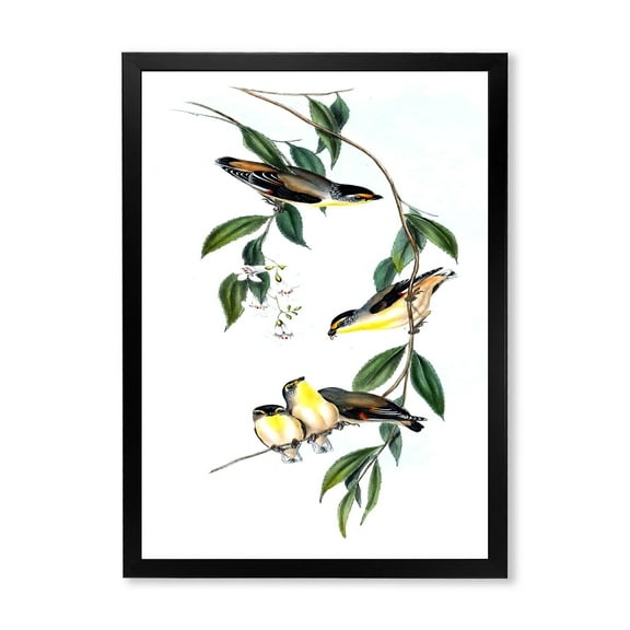 Designart 'Ancient Bird III' Traditional Framed Art Print