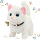 thumbnail image 2 of Walking Kitty Juguete de Felpa Gato Interactivo eléctrico Animal de Peluche Maullido Cola Meneando la Cabeza Asintiendo Gato Juguete para Mascotas Gatito Animado Cumpleaños para niños pequeños, 7.5 '', 2 of 3