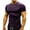 Purple, variant on Jamicy Athletic Workout Shirt for Men Gift for Father Men's Quick Dry Short Sleeve Compression Shirts Men's High Stretch Training Clothes Fitness Clothes Round Neck Top/Shirts