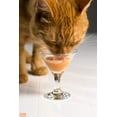 thumbnail image 4 of Hartz Delectables Bisque Senior Cat Treats Tuna and Chicken, 4 of 9