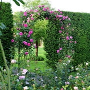 Skypatio Archway Decor Metal Garden Arch Trellis, Dark Green, 7'8 H x 4'5 W
