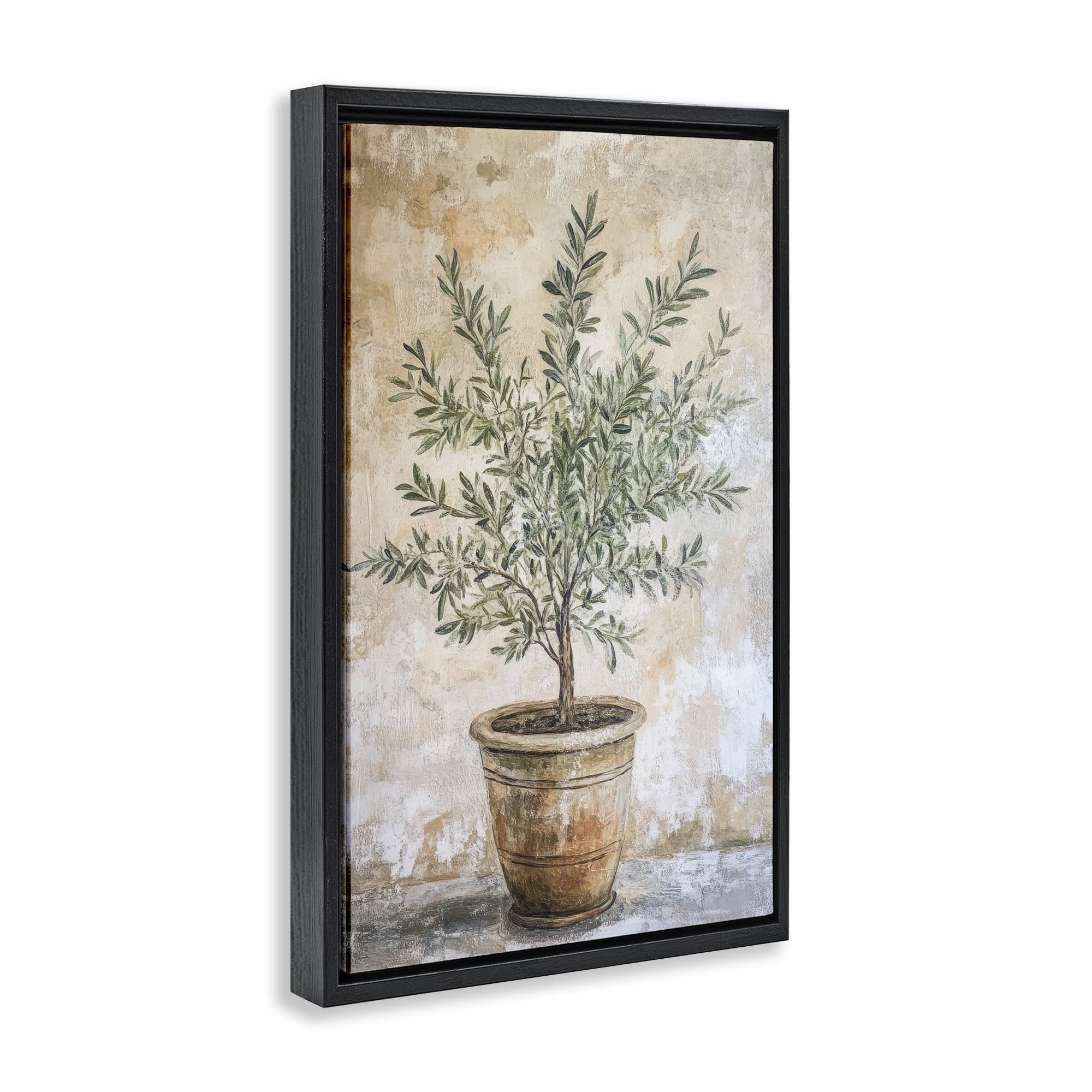 Stupell Industries Mediterranean Potted Olive Black Framed Floater Canvas Wall Art, design by Petal Prints Design