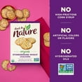 Back to Nature Organic Stoneground Wheat Crackers Dairy Free, NonGMO