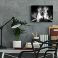thumbnail image 6 of Epic Art 'Parisian Ghost' by Sebastien Lory, Acrylic Glass Wall Art, 16"x12", 6 of 8