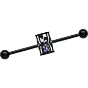 Body Candy Womens 14G Black PVD Steel Helix Skull Goth Hourglass Industrial Barbell 1 1/2