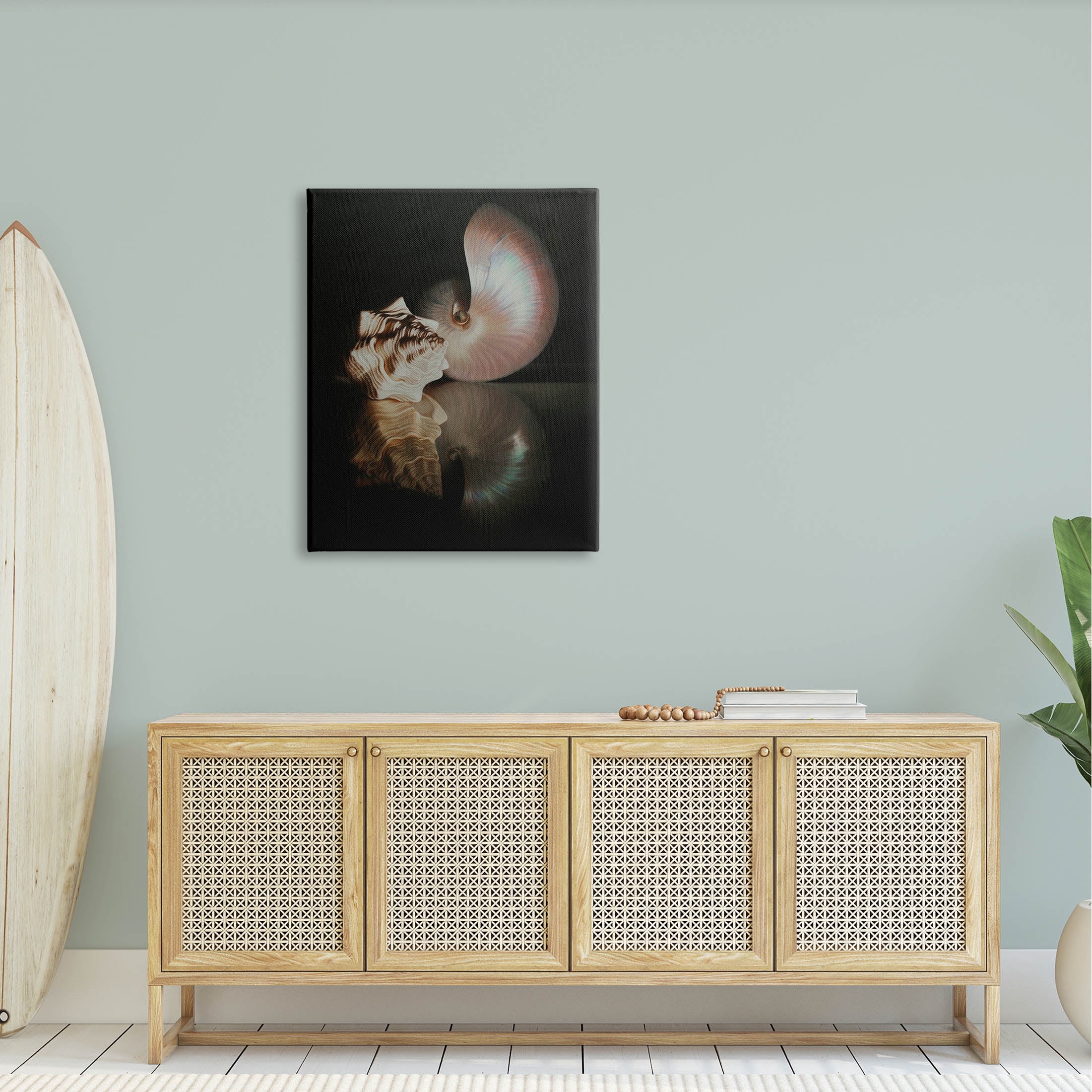 Stupell Industries Dark Sea Shells Still Life Photograph Gallery Wrapped Canvas Print Wall Art, Design by Cecile Baird