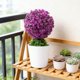 thumbnail image 4 of Uuiauoio Artificial Grass Potted Bonsai Small Tree Grass Pots Ornaments Fake Greenery for Home Garden Wedding Party Decoration, 4 of 6