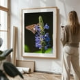 thumbnail image 4 of Silver Spotted Skipper Butterfly - York Pennsylvania Photography Butterfly Flowers Insect Nature Floral Garden Wildlife Unframed Wall Art Print 24 x 32 inches, 4 of 81