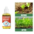 thumbnail image 2 of Phyto Vitamin Solution Plant Fertilizer Plant Elixir, Plant Growth Enhancer, Rooting Hormone, and Liquid Fertilizer for Seedlings and Cuttings Fertilizers & Plant, 2 of 8