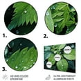 thumbnail image 3 of Designart "Gossamer Veil Ferns Plant art painting I" Floral Metal Wall Decor, 3 of 5