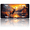 Deer in Mountain Landscape at Sunset, variant on 1 Pcs License Plate Covers & Frames, Dragon on a Lotus in Space For Decorative Front, Waterproof For Decoration Aluminum License Plate Covers & Frames Cover For Men Women, 12" X 6"