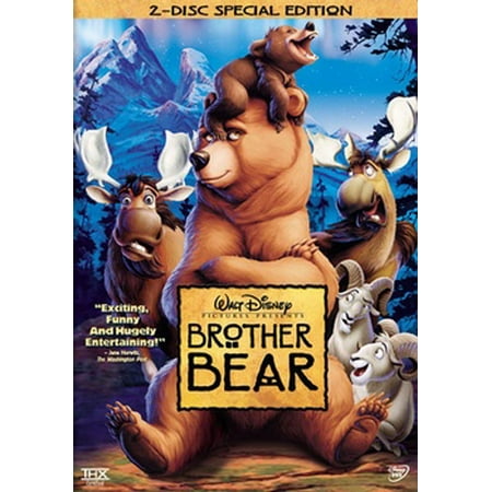 Brother Bear Dvd Walmartcom