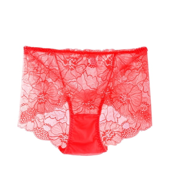 Fewfanhot Women's Mid-Waisted Lace Thin Mesh Breathable Briefs, Soft Stretchy Tri-Cut Panties Elegant Feminine Underwear for Casual & Special Occasions