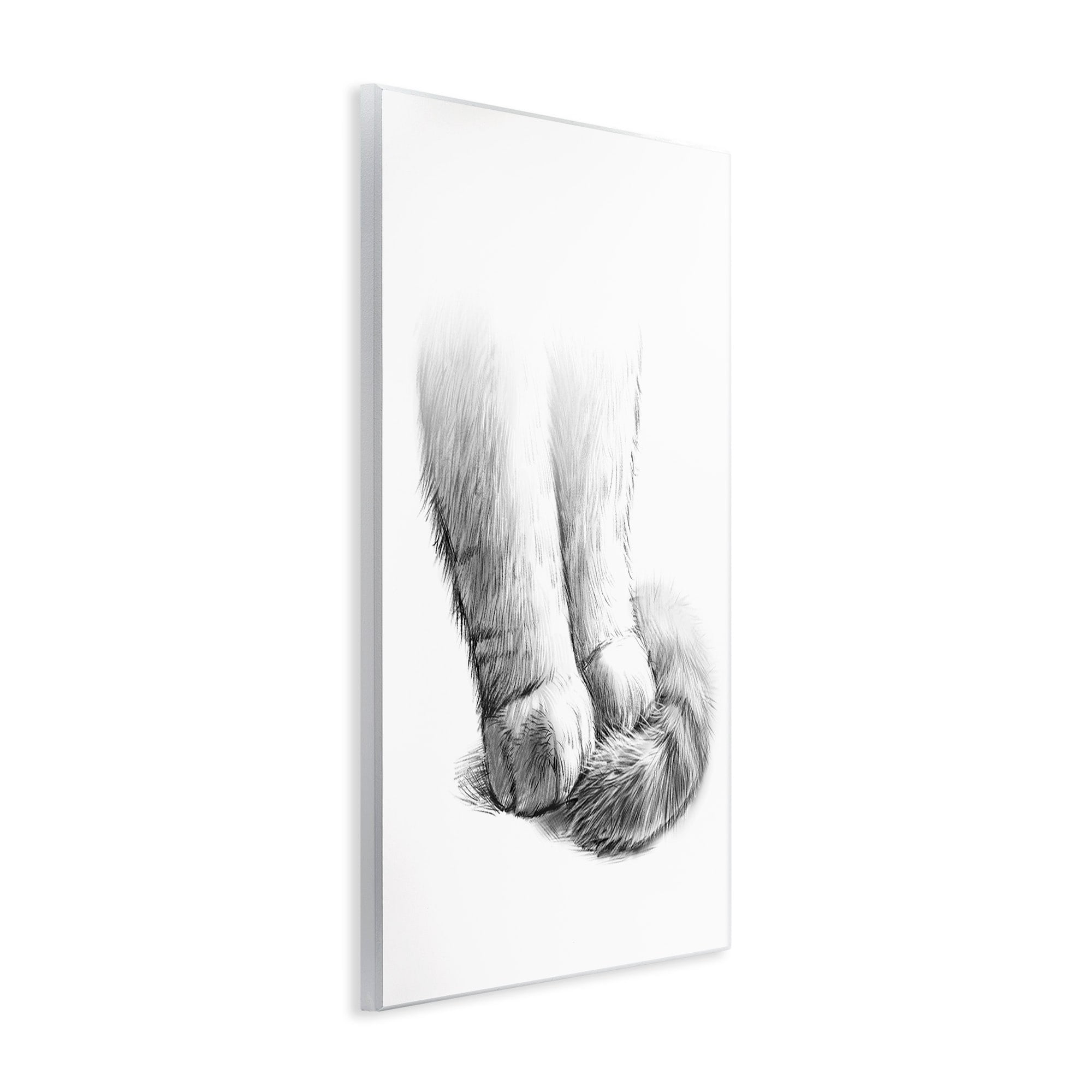 Stupell Industries Fluffy Cat Paws Tail Curled Monochrome Drawing Wood Wall Art, 13 x 19, Design by Ziwei Li