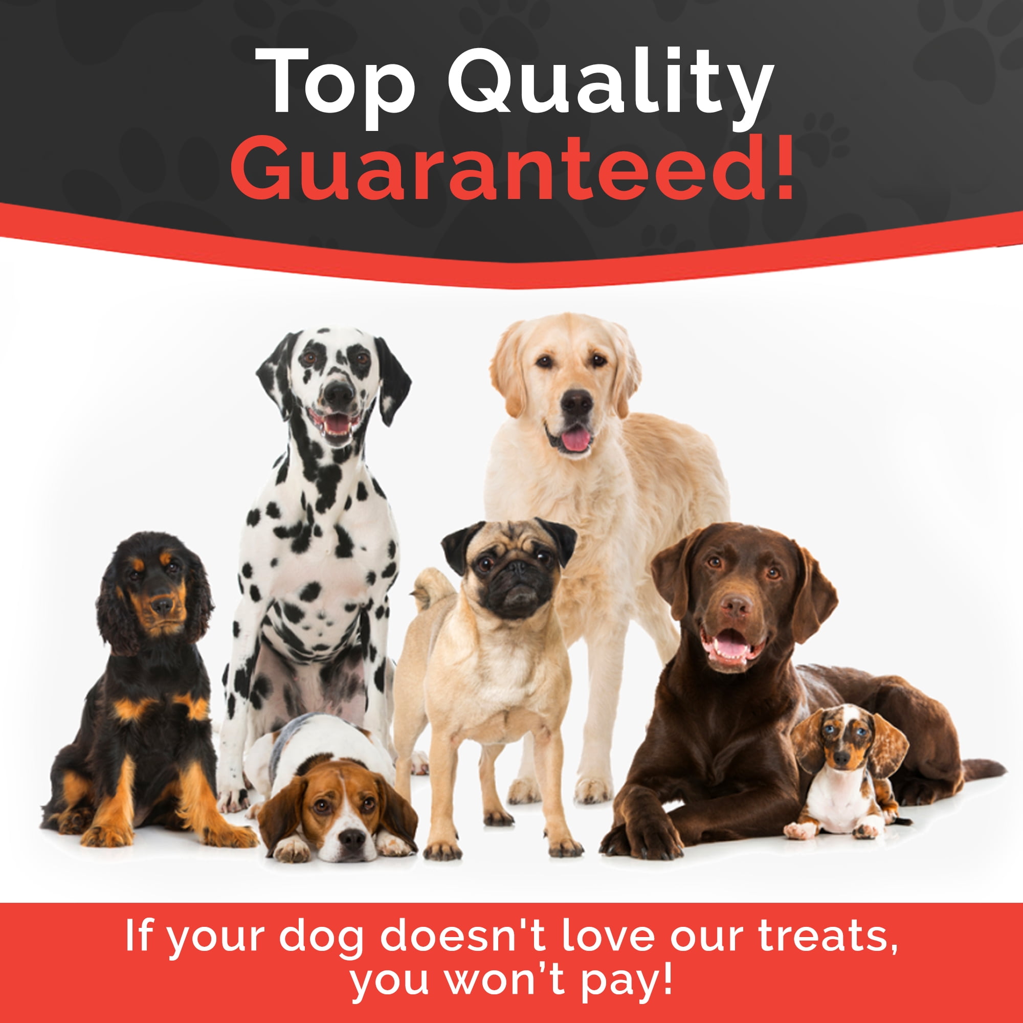 Miss Nelly's Canine Gourmet - Beef Dog Jerky Treats - USA Made and Sourced - Original Smoke House Recipe - Small Batch - Clean Natural Ingredients - Minimally Processed -  16 ounce Bag