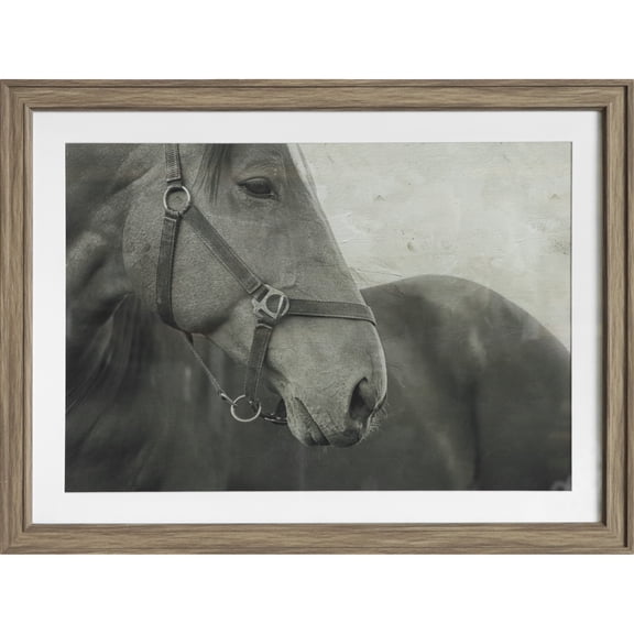 24" x 18" Sepia Horse Framed Wall Decor by Ashland  - Spring Home Decor