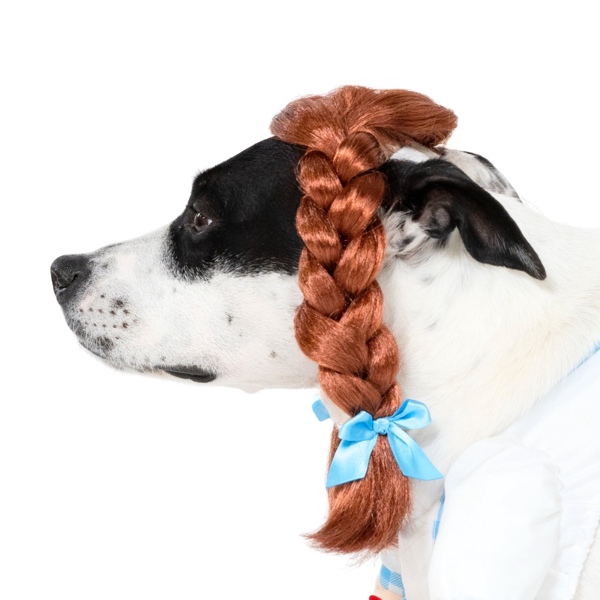 Vibrant Life Halloween Gingham Girl Costume for Dogs, Blue and White, Medium