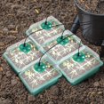 thumbnail image 3 of Bandejas de semillas para plantas de inicio Wdftyju con luz de cultivo Verde 10 Uds, 3 of 6