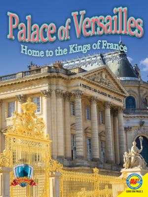 Palace of Versailles : Home to the Kings of France