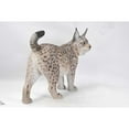 thumbnail image 3 of Hi-Line Gift Ltd. Lynx Statue, 3 of 4