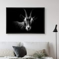 thumbnail image 2 of IDEA4WALL Framed Canvas Art Wall Decor Blackbuck Goat Animals Wildlife Photography Realism Modern Closeup Dramatic Black and White for Dorm Home Office - 16"x24", 2 of 4