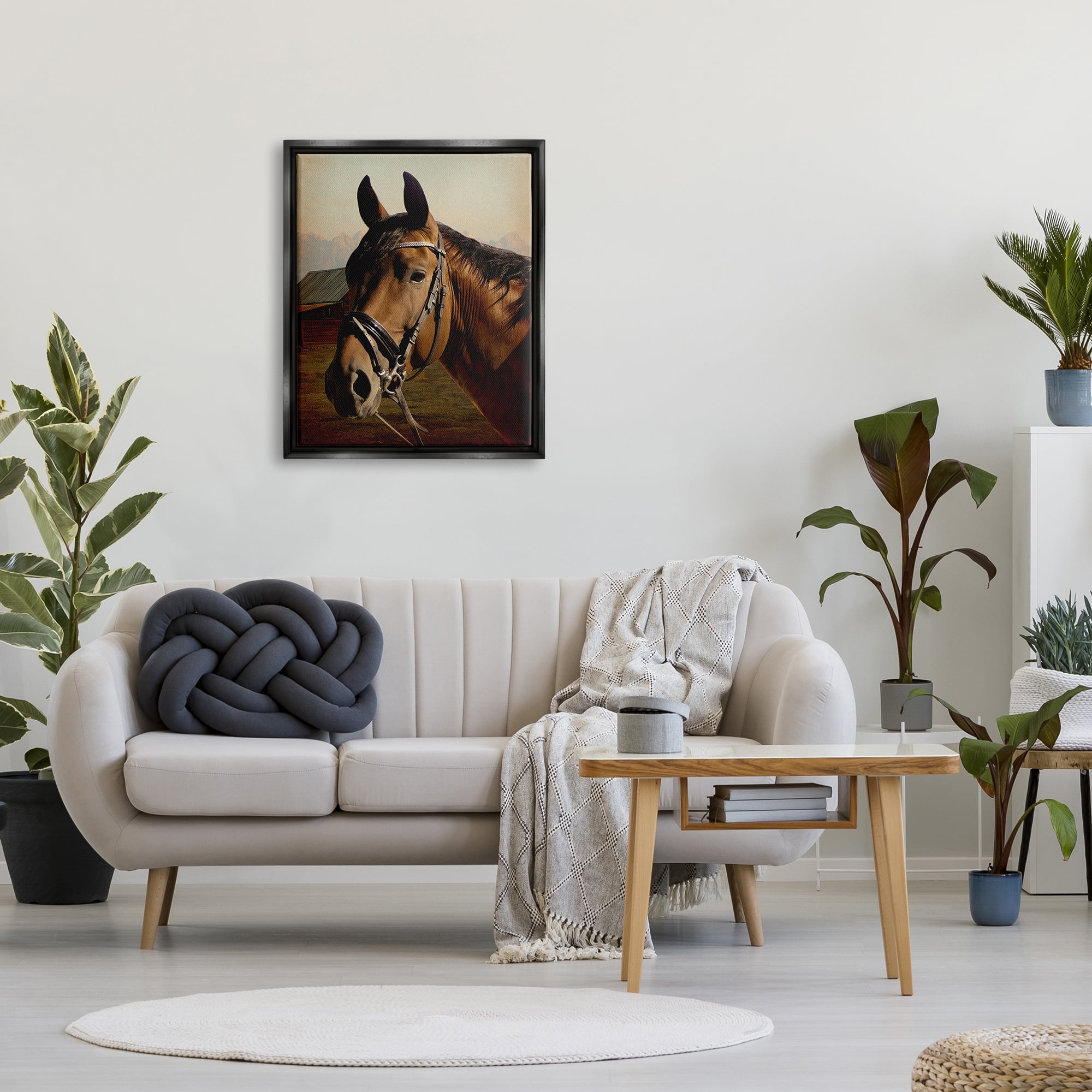 Stupell Industries Brown Horse Portrait Animals & Insects Photography Black Floater Framed Canvas Art Print Wall Art, 25 x 31