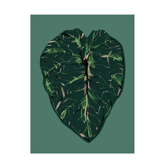 Trademark Fine Art Francesco Gulina Alocasia Melo Dark Canvas Wall Art