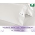 thumbnail image 5 of California Design Den 1000 Thread Count King Pillow Cases, 100% Cotton Sateen, Soft Refined Set of 2 King Pillow Cases Fit King Size Pillows - True Ivory, 5 of 7