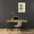 thumbnail image 3 of Weinmann 23x32 White Modern Wood Framed Museum Art Print Titled - Queen Annes Lace, 3 of 4