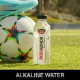 thumbnail image 4 of BODYARMOR SportWater Alkaline Water, Superior Hydration, High Alkaline Water pH 9+, Electrolytes 20oz, 6ct, 4 of 15