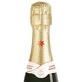 thumbnail image 3 of Pack de 2 Vino Espumoso Chandon Garden Chandon Garden Spritz 187 ml, 3 of 3