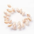 thumbnail image 3 of Natural Cowrie Shell Beads Strands Bisque 17-19x10-14x8-9mm Hole: 1mm 26pcs/strand 15.5 inch(39.5cm), 3 of 3