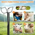 thumbnail image 2 of Goat Restraint Stand, Adjustable Headpiece, 20"-34" Height Range, Iron Livestock Stand, Animal Milking Stand, For animal milking, shearing, vet clinic, 2 of 8