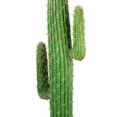 thumbnail image 2 of Vintage Home Artificial Faux Real Touch 55" Tall Mexican Cactus, 2 of 4