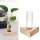 thumbnail image 4 of 5 uds florero transparente de vidrio maceta terrario mesa de escritorio planta hidropónica bonsái, 4 of 8