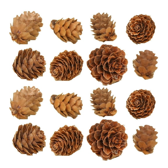 TEHAUX Decorative Pine Cones Wood for Party 100Pcs