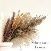 110 Pcs Natural Dried Pampas Grass Bouquet, Bunny Tails Dried Flower, Long-Lasting Dried Flowers Bouquet for Home Wedding Decor, 17 (Without Vase)