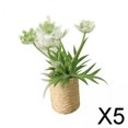 thumbnail image 1 of 5x Bonsái de Flores en Miniatura, Suministros de Jardín de Hadas, Plantas en Maceta en Miniatura, Flores para Decoración de Jardín Y Patio Trasero, 1/ 5 piezas, 1 of 8