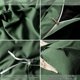 thumbnail image 4 of Juego de Funda Nórdica Verde, 3 Piezas, 1 Funda Nórdica 90×90 Pulgadas, 4 of 6