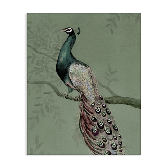 Stupell Industries Regal Peacock on Branch Animals Painting Wrapped Canvas Art Print Wall Art, 16 x 20