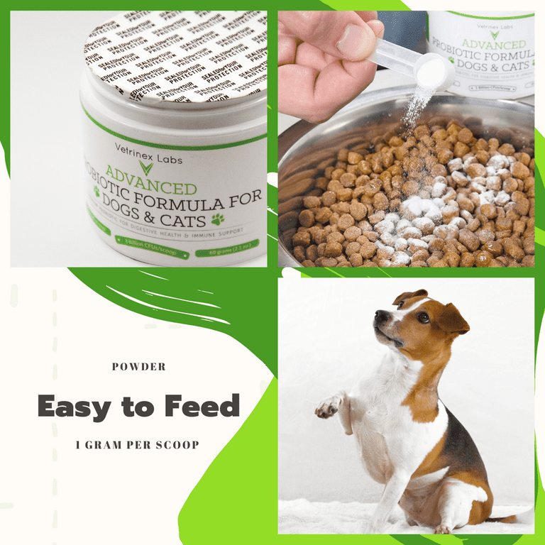 Powder to stop cheap dogs from eating poop