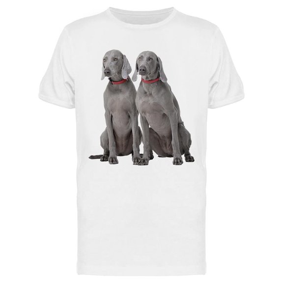 Sitting Weimaraner Dogs Tee Men's -Image by Shutterstock