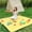 A, variant on TIMIFIS Cloth Picnic Blanket Washable Picnic Mat Beach Mat Outdoor Camping Mat Thick Leather Hand Strap Camping Hiking Supplies Tourist Beach Going Out Beach Mat 150X200cm Camping & Hiking