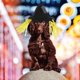 thumbnail image 2 of Disfraz de Halloween, sombreros de espantapájaros, suministros para mascotas, accesorios de cosplay, gorras, capucha para perro y gato, talla L, 2 of 5