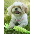 thumbnail image 2 of Pet Life ® 'Extreme Twist' Sporty Tugging Jute and Squeak Dog Toy, 2 of 2