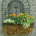 thumbnail image 3 of Mosser Lee ML0110 Long Fibered Sphagnum Moss, 432-Cubic Inch,Grey, 3 of 15