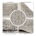 thumbnail image 3 of Alfa Rich 4x6 Area Rugs, Ultra-Thin, Oriental, Grey Rug, Non-Slip, Machine Washable, Easy Clean, Pet Friendly Rug, 3 of 6
