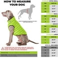 thumbnail image 3 of AiryVest Lightweight Reversible Winter Dog Coat - Warm Dog Jacket - Water Resistant Windproof - Insulated Dog Apparel for Small, Medium & Large Dogs - Comfortable Dog Puffer Vest - Light Blue/Green, 3 of 6
