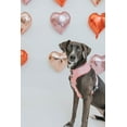 thumbnail image 6 of Dolce Rose Dog Adjustable Harness - Large, 6 of 7