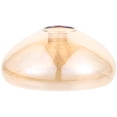 thumbnail image 1 of Shisuyan Ceiling Lampshade Glass Lamp Shade Ceiling Light Mount Fixture Decorative Light Cover(G9), 1 of 9